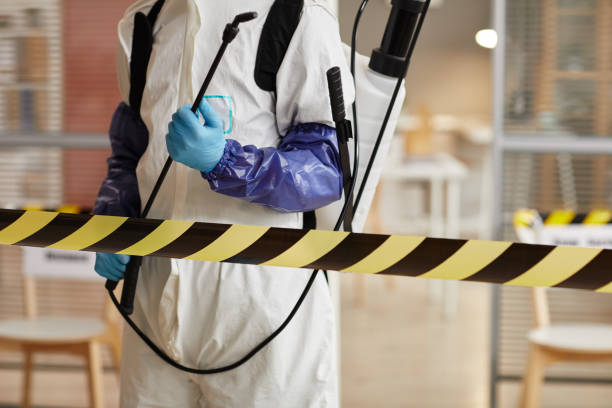 Professional Sewage Cleanup technician working in Bushnell, FL